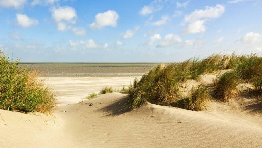 Studio Hof Ter Zee * Ostende